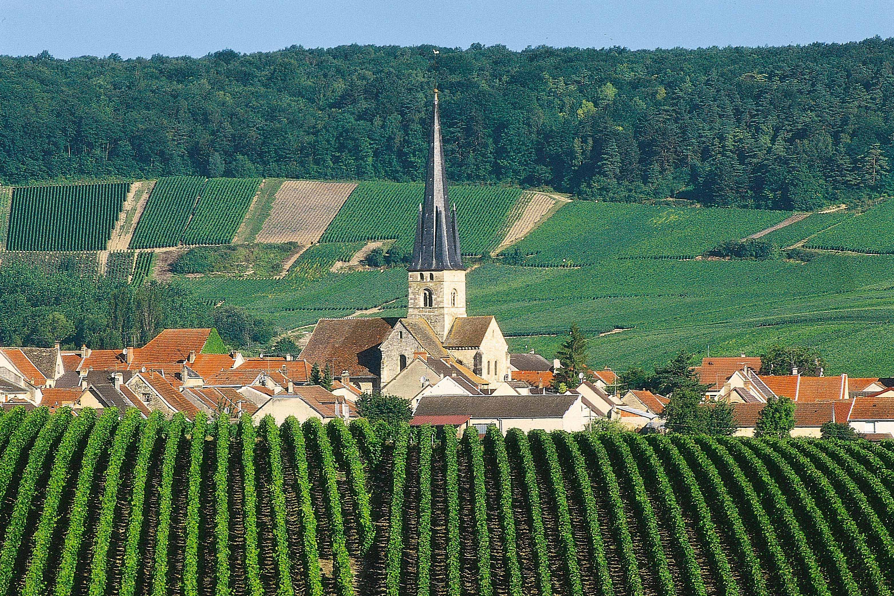 le-vignoble le-vignoble