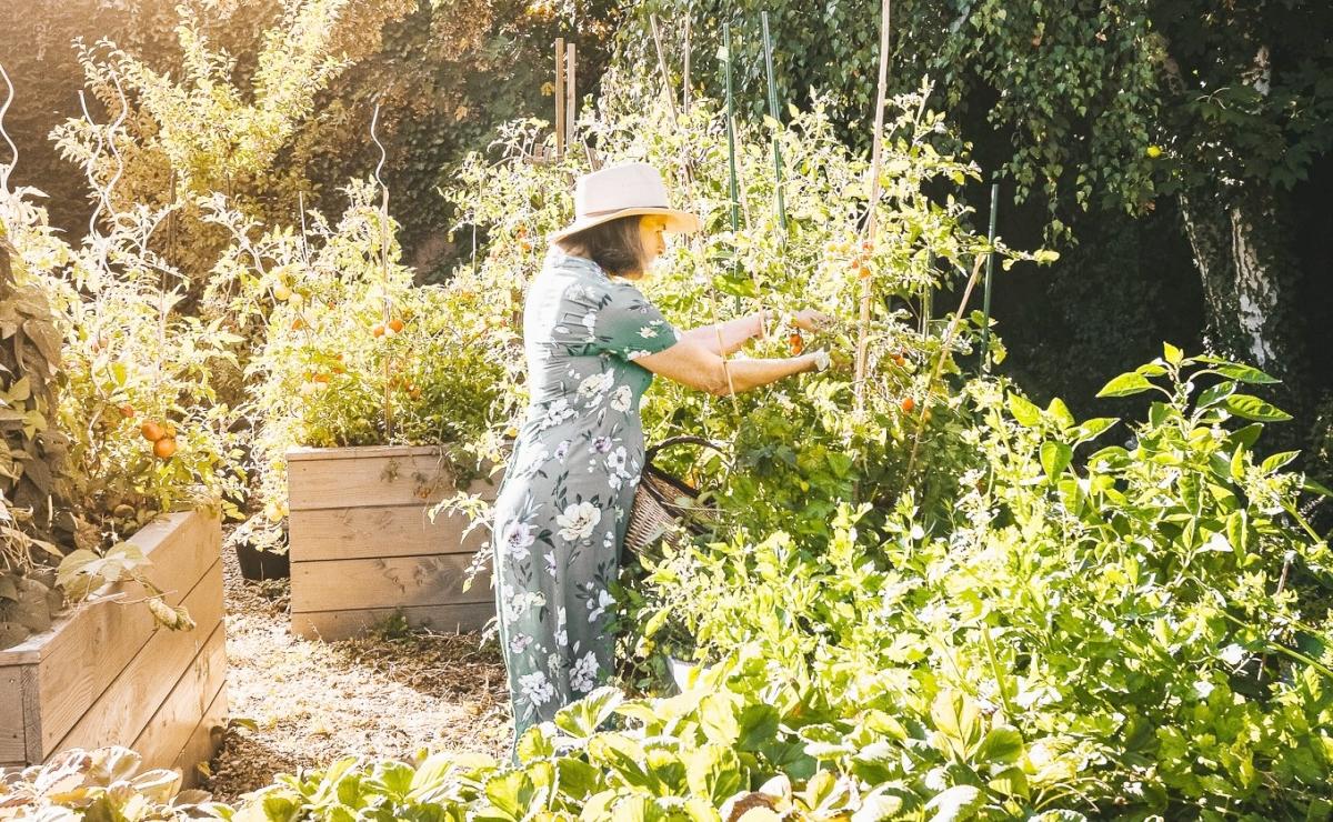 elizabeth-dans-le-jardin